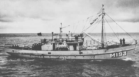 MMS 193