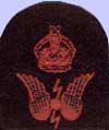 Collar insignia